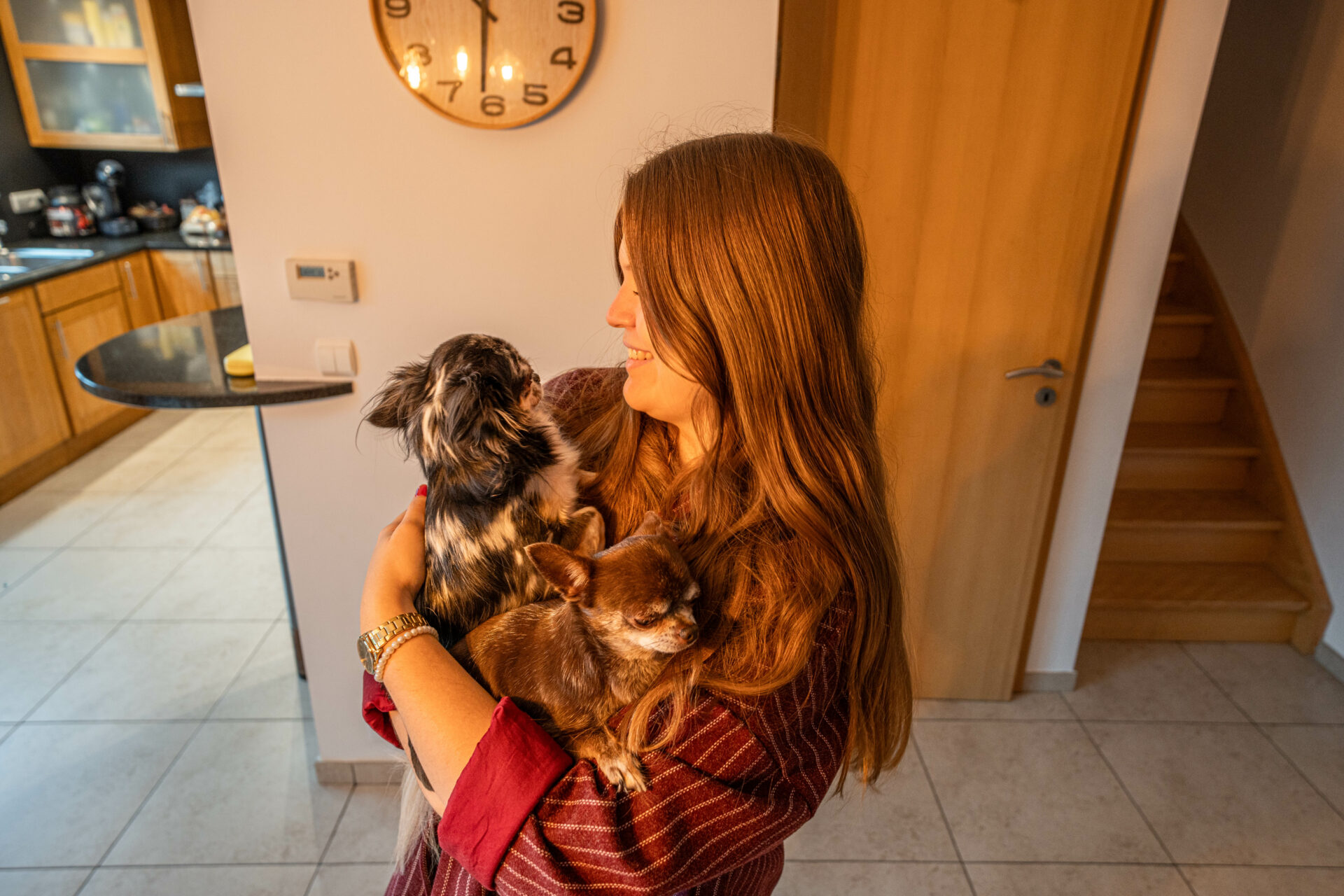 Illustration de la galerie