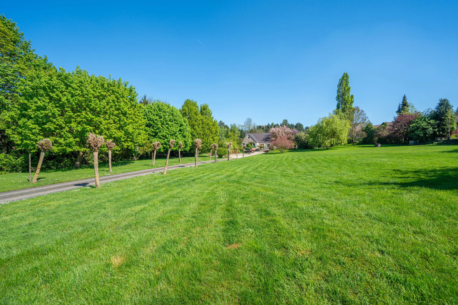 Illustration du bien