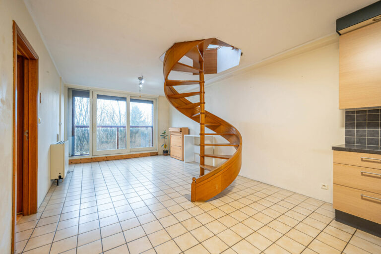 Illustration du bien