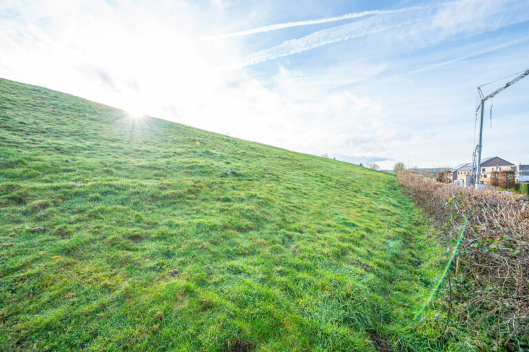 Illustration du bien