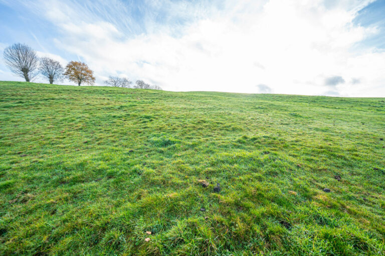 Illustration du bien