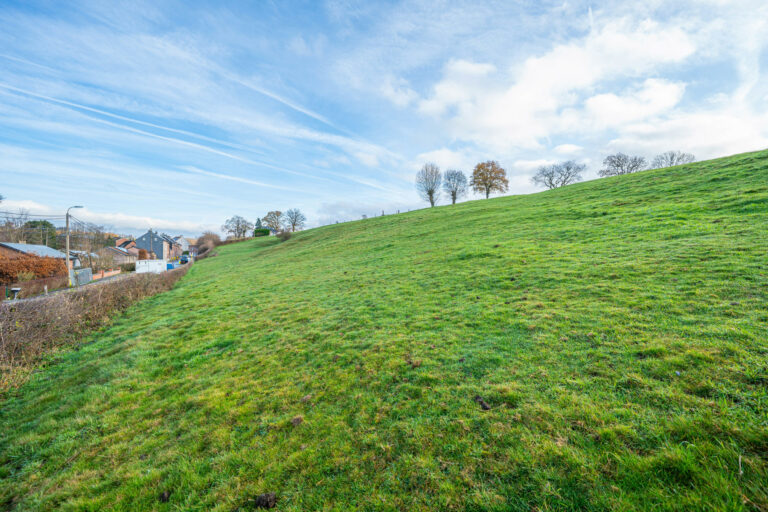 Illustration du bien